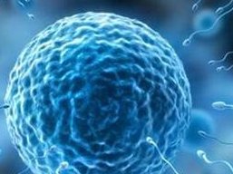 死精率80%的男性可以在武夷山市做三代试管吗？公开2026做三代试管条件