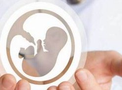 子宫小可以做试管吗？幼稚子宫做试管成功率多少？