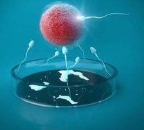 2026上海能合法提供试管婴儿术的医院有哪些？