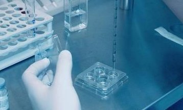 阜阳做试管婴儿哪个医院成功率排名较高？