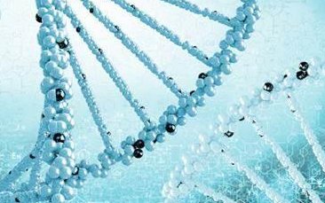 女性有染色体罗氏易位在福鼎市做试管养囊成功率高吗？试管移植后需要保胎吗！