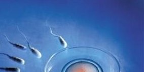 福建医学院附属协和医院（福建医学院附属协和医院医生医德怎么样）