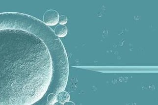 2026在泰州市罗氏易位能做三代试管婴儿生子吗，相互易位和罗氏易位有什么区别？